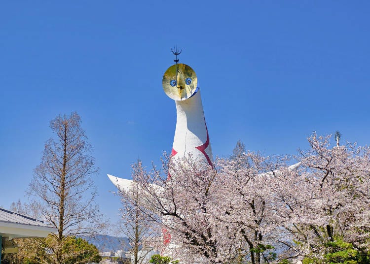 2. Expo' 70 Commemorative Park: The Tower of the Sun and Osaka Cherry Blossom Competition
