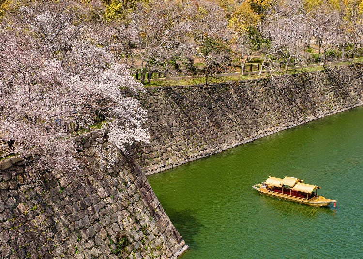 During the cherry blossom season, you can take a boat ride around the moat
