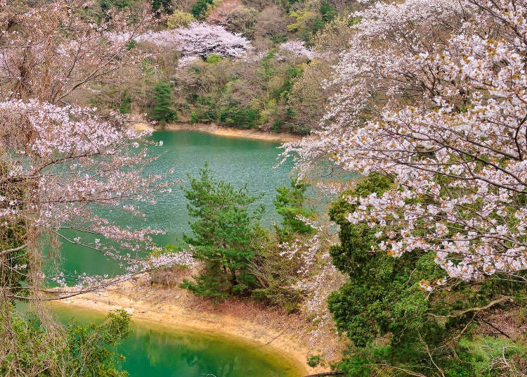 A natural park selected as one of Japan's "100 Best Water Source Forests"