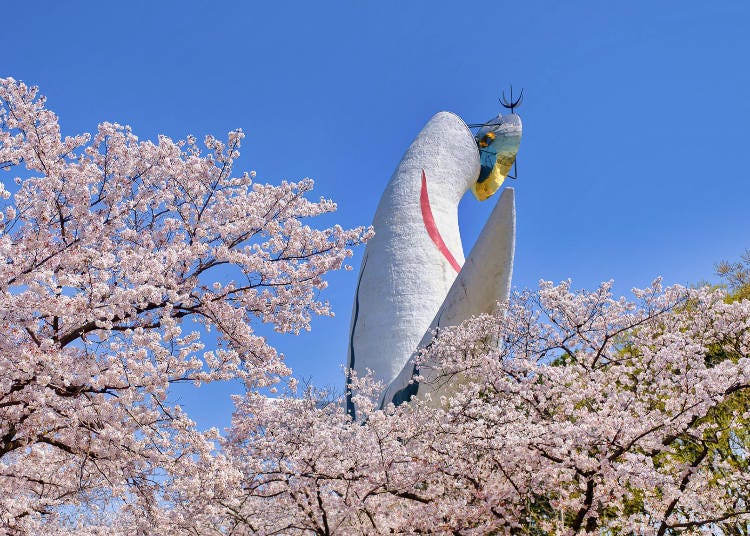 背後からのショット。太陽の塔を背景に桜が楽しめるのはここだけ
