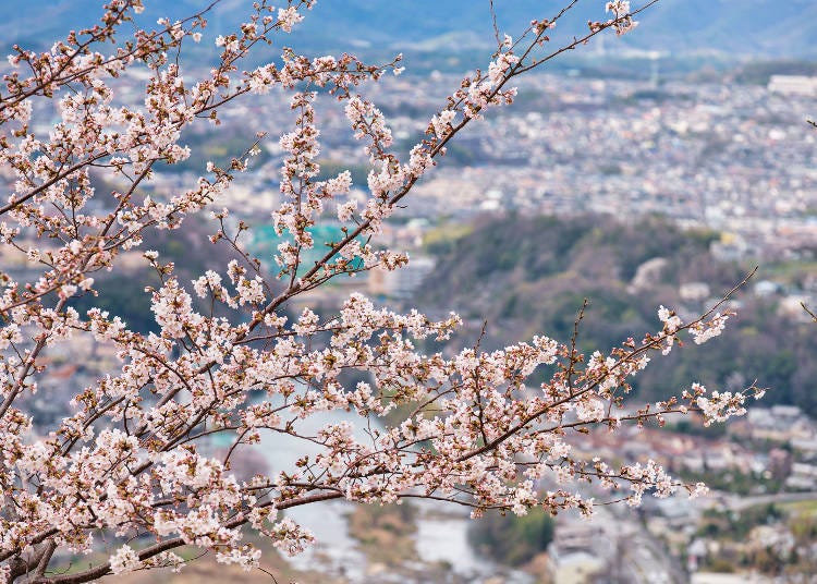兵庫県と接する池田市を代表する五月山（さつきやま）公園