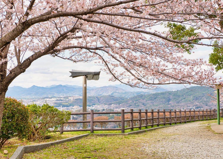 大阪平野を一望できる展望台からの景色
