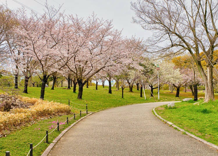 這裡是非常適合堺地區的規模及具有國際性的日本庭園，於1989年所建造完成。
