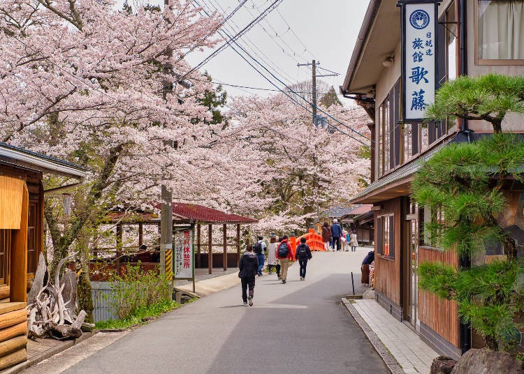 The Yoshinoyama Ropeway leading to Shimosenbon is within walking distance of Yoshinoyama Station