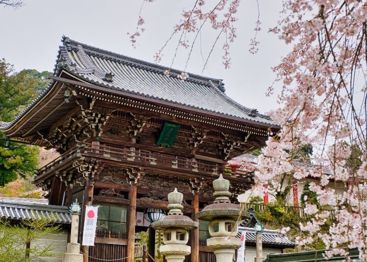 花の御寺として愛される奈良の名所