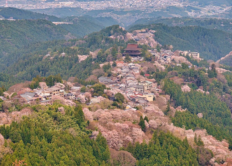 俯瞰被登錄為聯合國教科文組織世界遺產的修劍道總本山「金峯山寺」。
