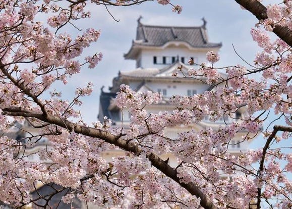 where to visit japan in spring