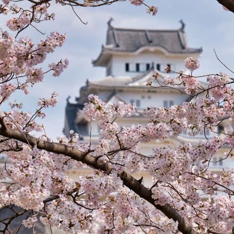 神戸 三宮 北野 Live Japan 日本の旅行 観光 体験ガイド