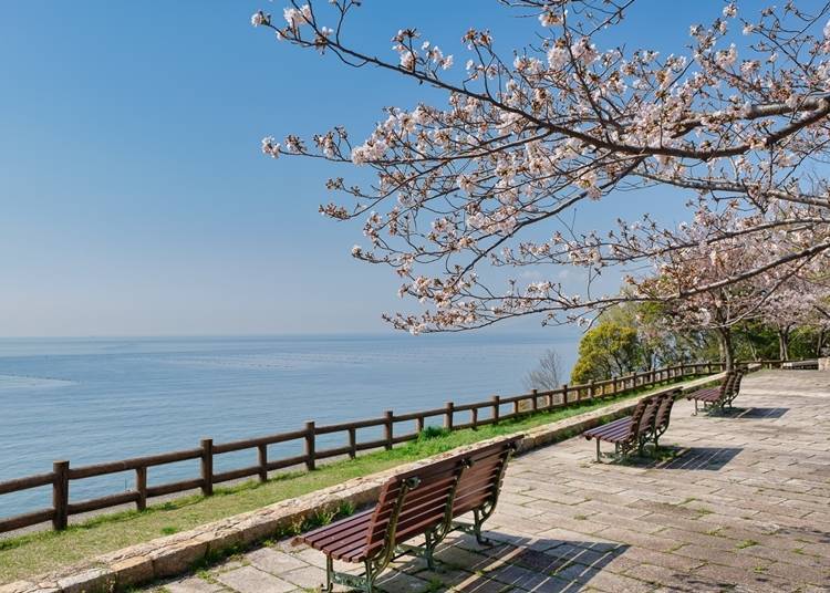 산 위에서는 고베 공항과 아카시 대교가 한 눈에 들어온다