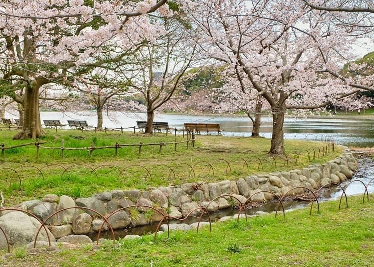 연못 주변을 에워싼 축벽은 공원의 상징