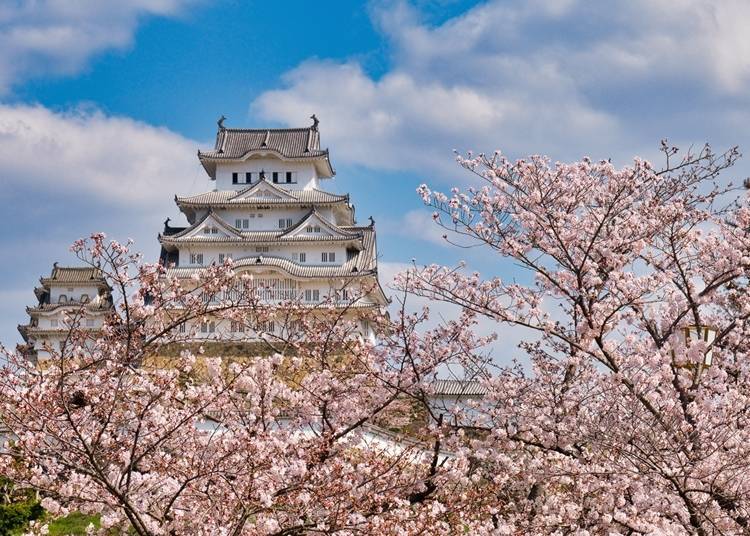 1. 白色城牆+粉色櫻花就是絕配【姬路城】