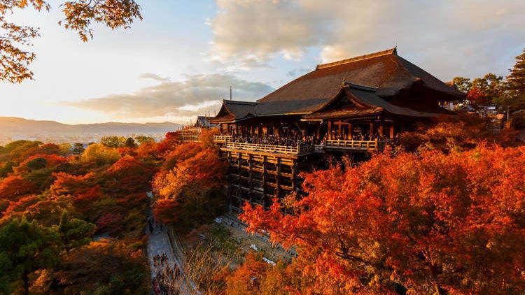 2025京都賞楓景點10選+最佳時期：清水寺、哲學之道、嵐山等