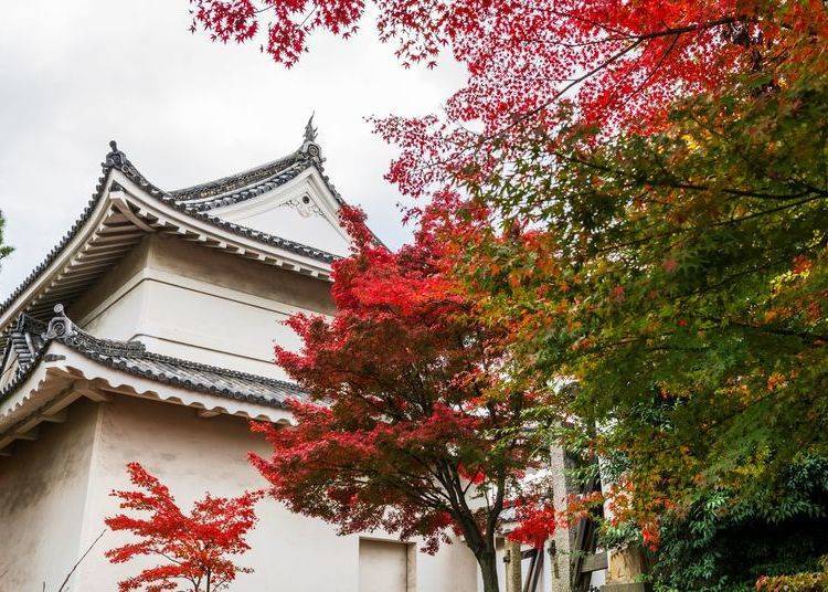 3. Nijo Castle: Harmony of Kyoto autumn leaves and Honmaru Garden