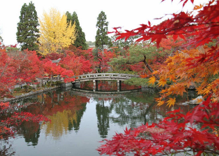 5. Eikando Zenrinji: An enchanting view of 3,000 Japanese maple trees