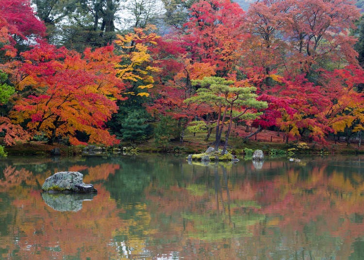10 Best Places for Autumn Leaves in Kyoto & When to Enjoy in 2023 ...
