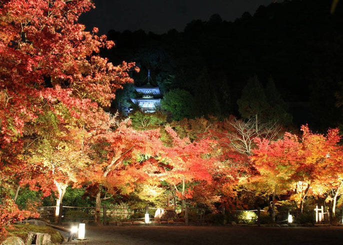 2020年 京都赏枫景点10选 最佳赏枫时期 岚山 清水寺等 Live Japan 日本的旅行 旅游 体验向导