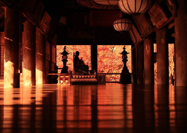 4. Hasedera Temple: A Breathtaking Amalgamation of Autumn Color
