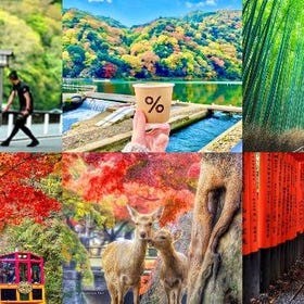 Arashiyama Train & Nara Park & Fushimi Inari Shrine Tour from Osaka
Details & Bookings ▶
(Image: Klook)