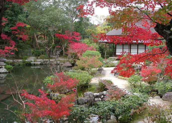 年 奈良の紅葉スポット 見頃おすすめ10選 Live Japan 日本の旅行 観光 体験ガイド