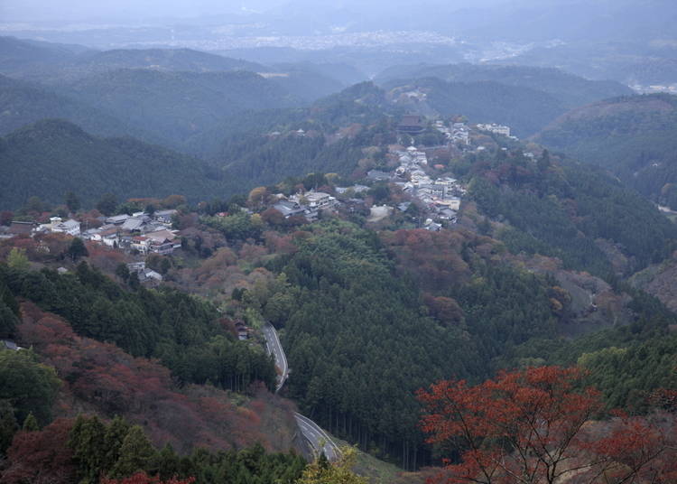 5:サクラの名所「吉野山」は、秋に紅葉の名所に