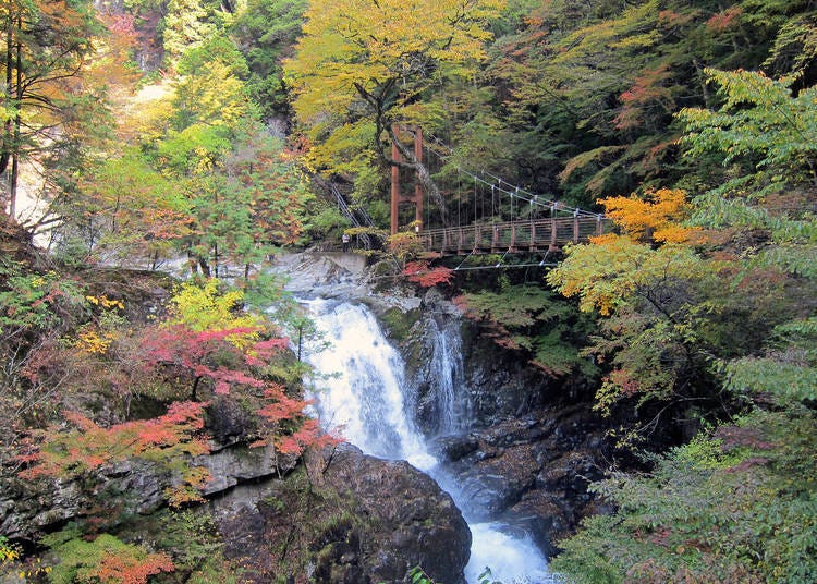奈良赏枫景点⑩朝气十足的溪谷充满魅力「御手洗溪谷」