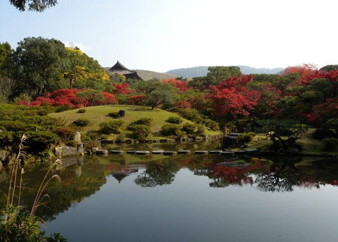 奈良賞楓景點10選 最佳時期 奈良公園 吉野山 談山神社等 Live Japan 日本旅遊 文化體驗導覽