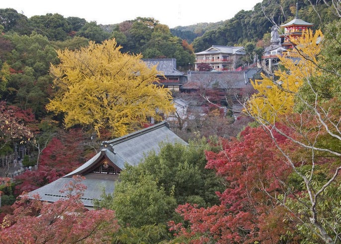 奈良賞楓景點10選 最佳時期 奈良公園 吉野山 談山神社等 Live Japan 日本旅遊 文化體驗導覽