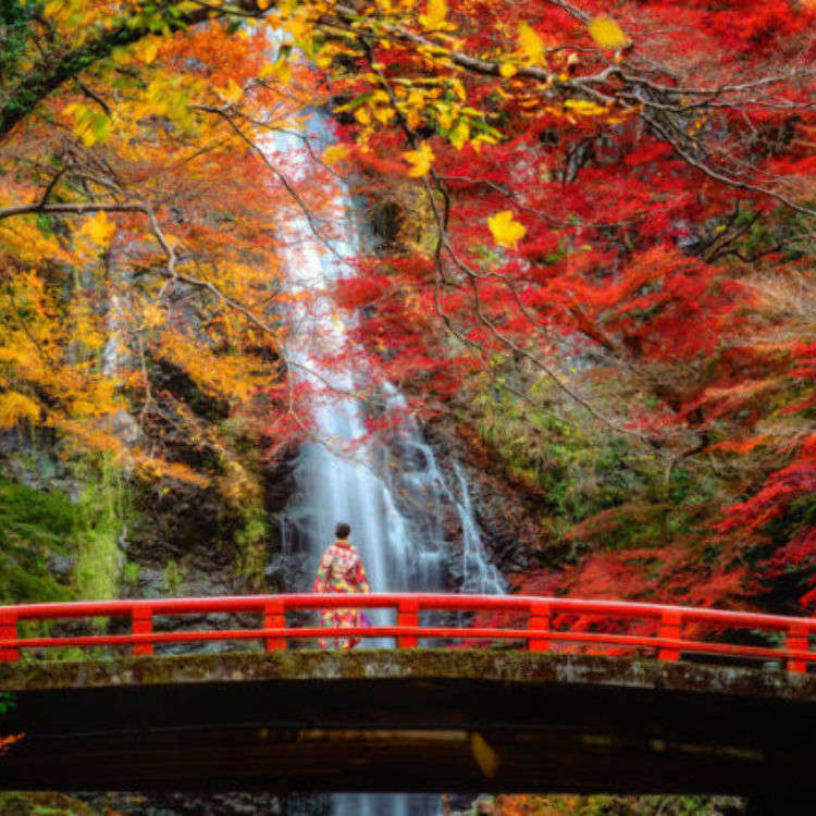 22年 大阪の紅葉スポット 見頃10選 大阪城公園や御堂筋のイチョウ並木も Live Japan 日本の旅行 観光 体験ガイド