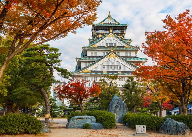1：天守閣と紅葉を仰ぐ「大阪城公園」