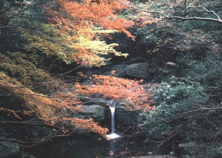 10：秘湯で知られる「犬鳴山温泉」の紅葉