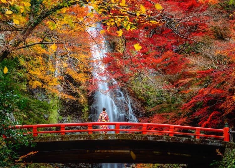 大阪赏枫景点④雄伟瀑布＋红叶「箕面公园」