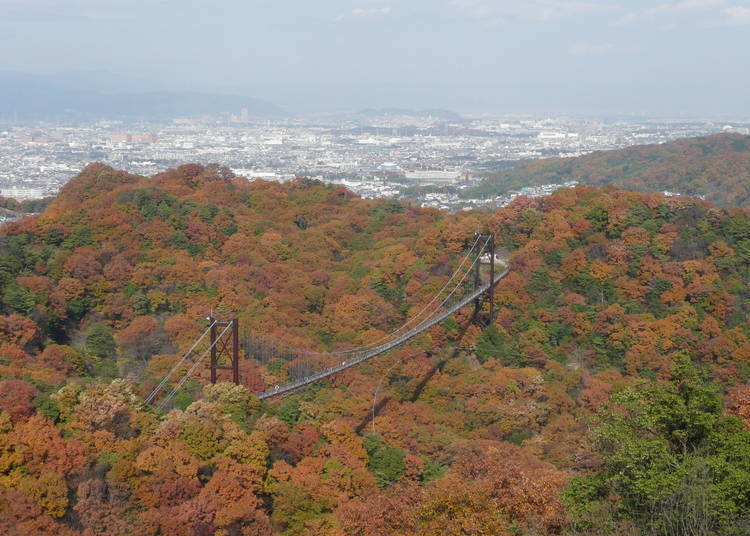 大阪赏枫景点⑥眺望红叶空中散歩「星田园地」