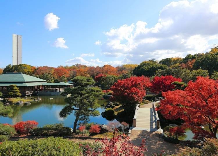 大阪赏枫景点⑧光艳色彩点缀日本庭园「大仙公园 日本庭园」