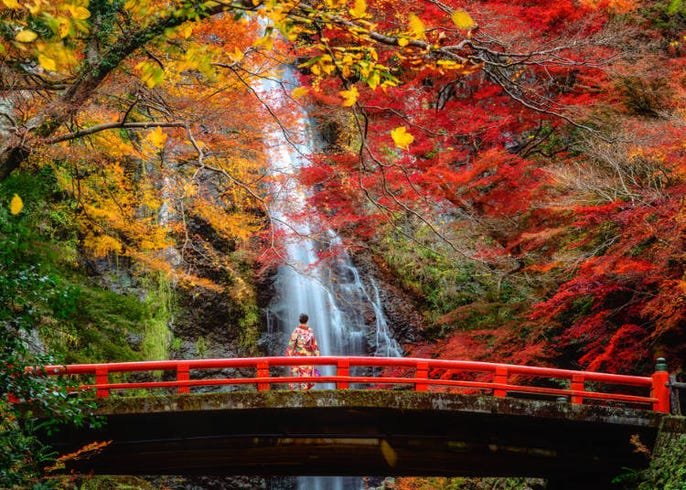 大阪賞楓景點10選 最佳時期 大阪城 箕面公園 犬鳴山溫泉等 Live Japan 日本旅遊 文化體驗導覽