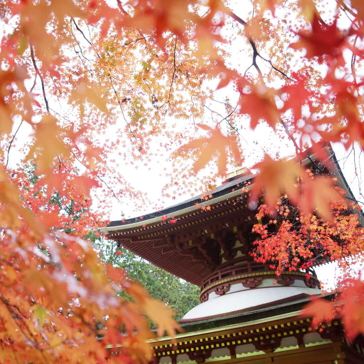 22年 絶景を楽しむ和歌山の紅葉スポット 見頃10選 高野山など Live Japan 日本の旅行 観光 体験ガイド