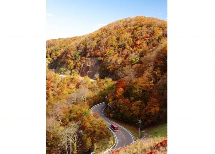年 絶景を楽しむ和歌山の紅葉スポット 見頃10選 Live Japan 日本の旅行 観光 体験ガイド