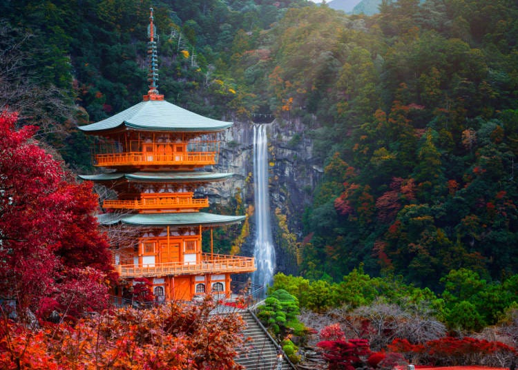 7：日本の原風景のような紅葉「熊野古道」