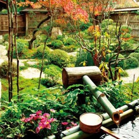 Hosen-in Temple