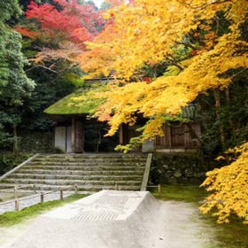 Honen-in Temple