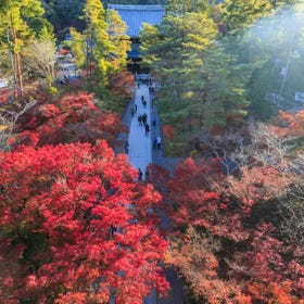 Nanzen-ji Temple