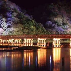 Togetsu-kyo Bridge