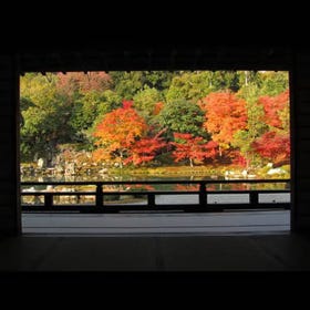 Tenryu-ji Temple