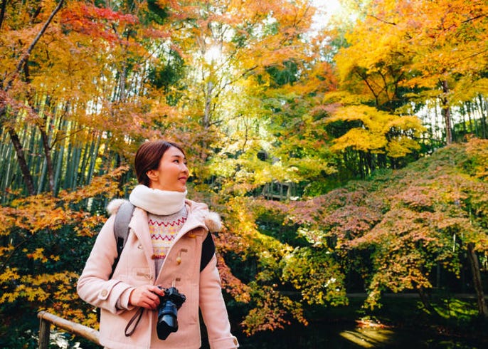紅葉シーズン到来 秋の京都旅行の服装 で知っておきたい5つの対策 Live Japan 日本の旅行 観光 体験ガイド