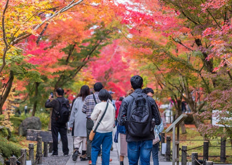 服裝準備撇步④出門觀賞紅葉的人非常多，要記得「這個」！