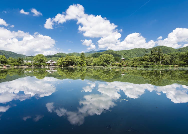 13.「大覚寺」で日本最古の庭池の絶景を堪能する