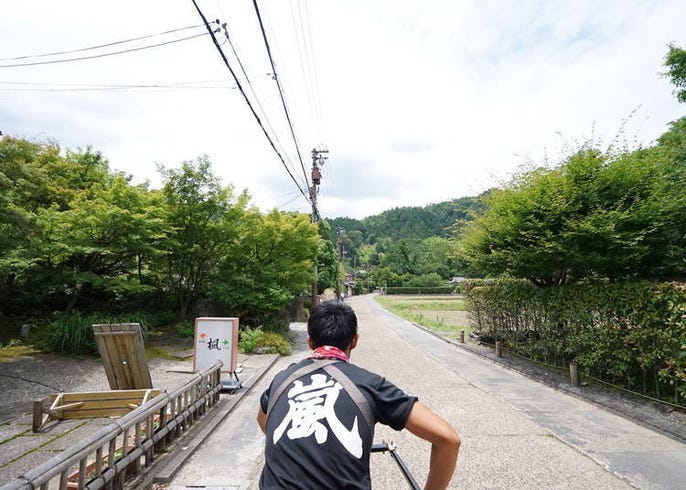 live japan