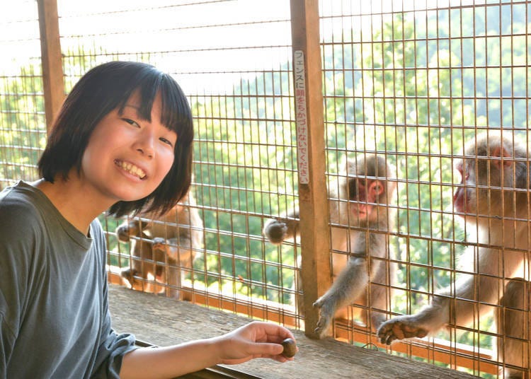 ⑫前往「嵐山猴子公園 岩田山」近距離的欣賞日本獼猴