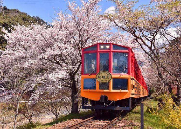嵐山 嵯峨野トロッコ列車の乗り方完全ガイド Live Japan 日本の旅行 観光 体験ガイド
