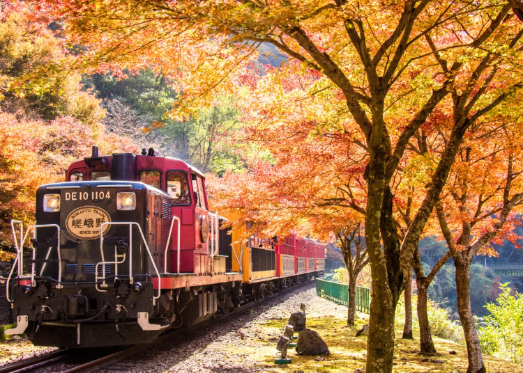 The current train cars set to retire at the end of this year &copy;Sagano Scenic Railway Co.,Ltd.