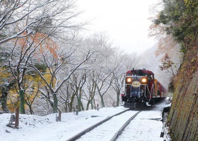 嵐山 嵯峨野トロッコ列車の乗り方完全ガイド Live Japan 日本の旅行 観光 体験ガイド